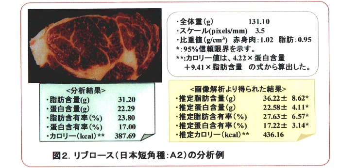 図2.リブロースの分析例