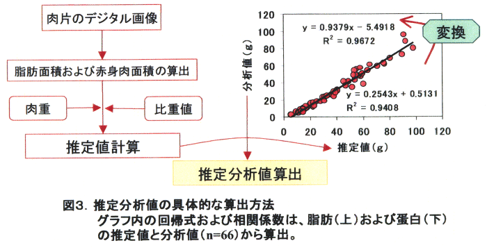 図3.推定分析値の具体的な算出方法