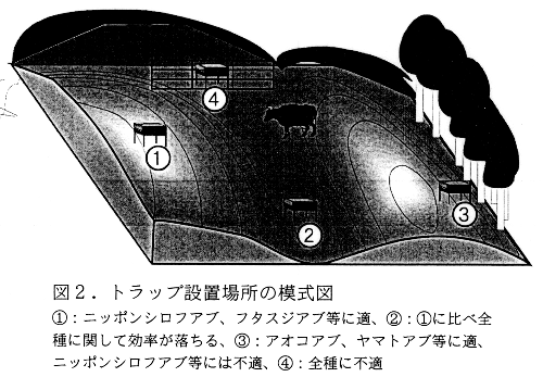 図2.トラップ設置場所模式図