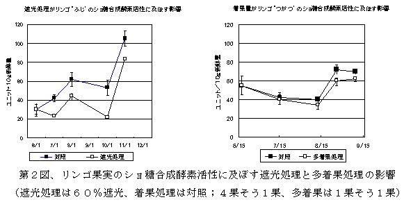 図2 リンゴ果実のショ糖合成酵素活性に及ぼす遮光処理と多着果処理の影響