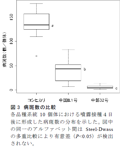図3 病斑数の比較
