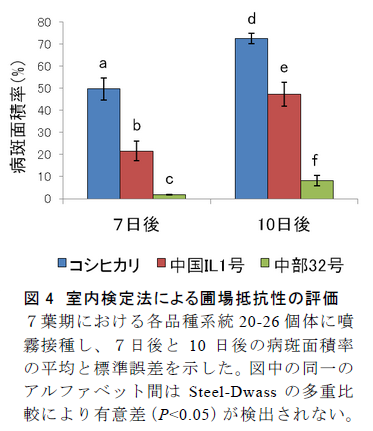 図4 室内検定法による圃場抵抗性の評価