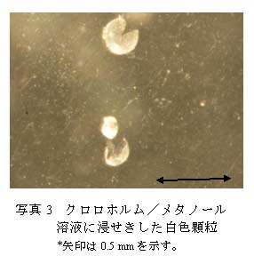 写真3 クロロホルム/メタノール溶液に浸せきした白色顆粒