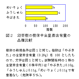 図2 幼茶樹の樹体中全窒素含有量の品種比較