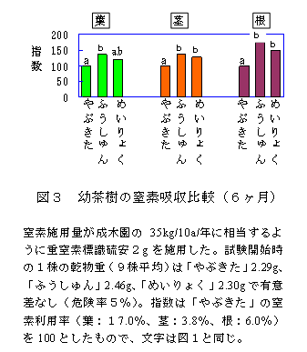 図3 幼茶樹の窒素吸収比較(6ヶ月)