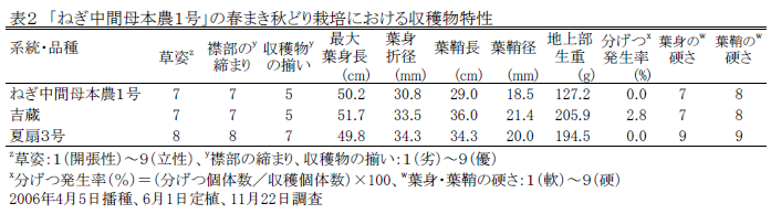 表2 「ねぎ中間母本農1号」の春まき秋どり栽培における収穫物特性