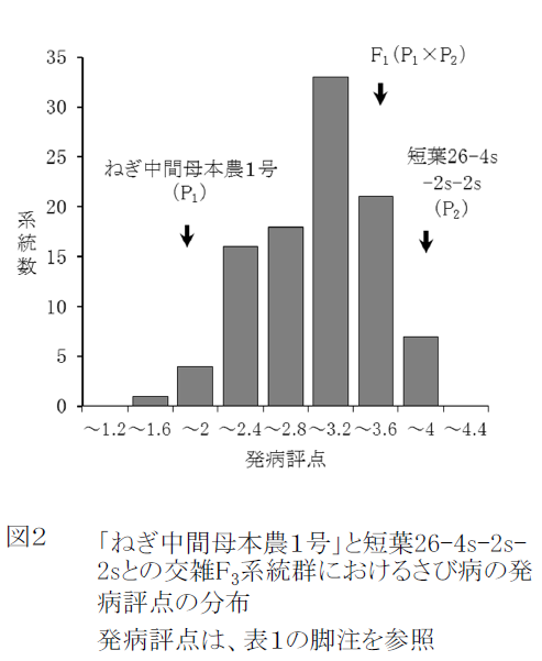 図2.「ねぎ中間母本農1号」と短葉26-4s-2s-2sとの交雑F3系統群におけるさび病の発病評点の分布