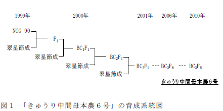 図1 「きゅうり中間母本農6号」の育成系統図