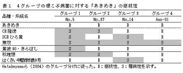 表1 4グループの根こぶ病菌に対する「あきめき」の抵抗性