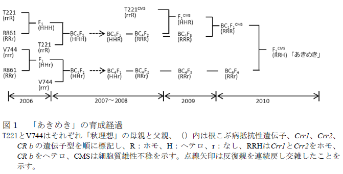 図1 「あきめき」の育成経過 