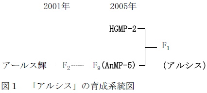 図1 「アルシス」の育成系統図