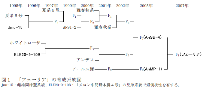 図1 「フェーリア」の育成系統図