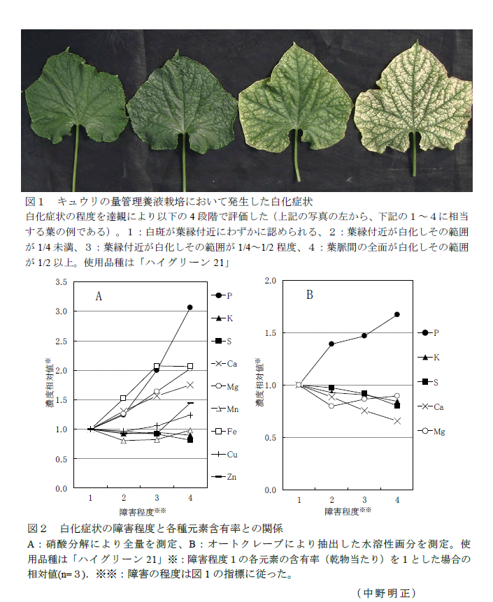 量管理養液栽培でキュウリ葉に発生する白化症状の原因はリン酸過剰である 農研機構