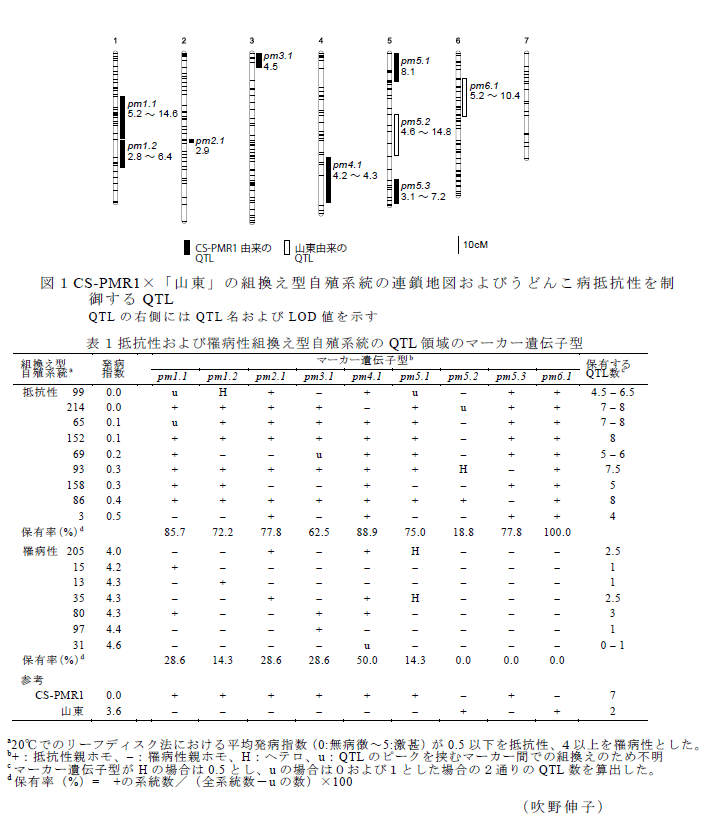 図1,表1