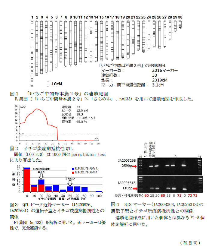 図1～3