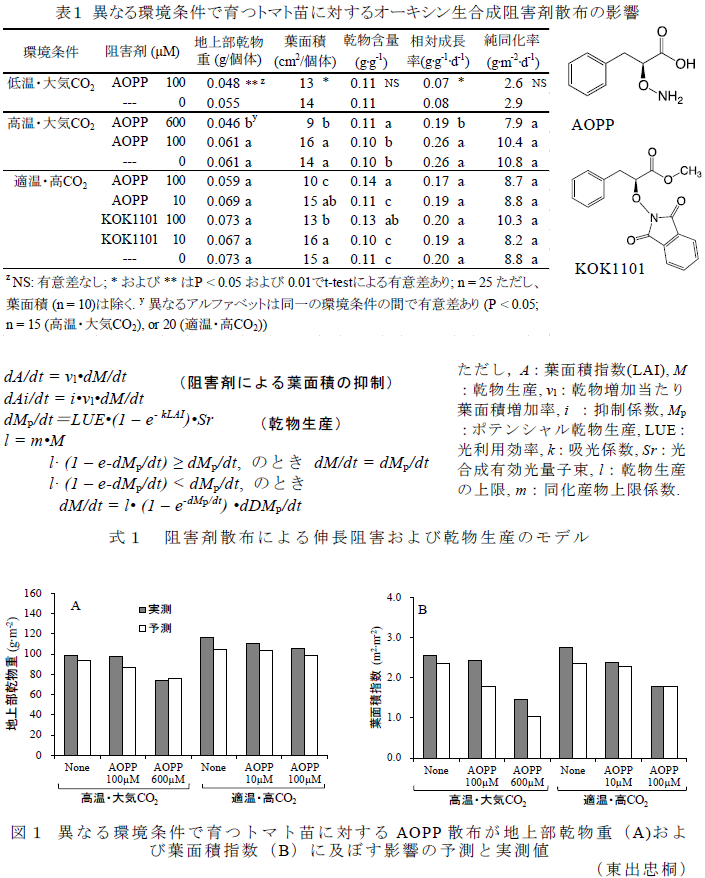 図1,表1,式1