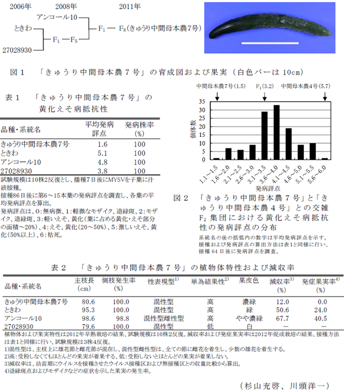 図1～2,表1～2