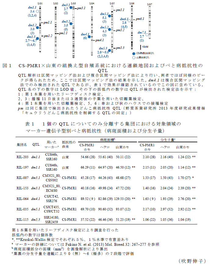 図1,表1