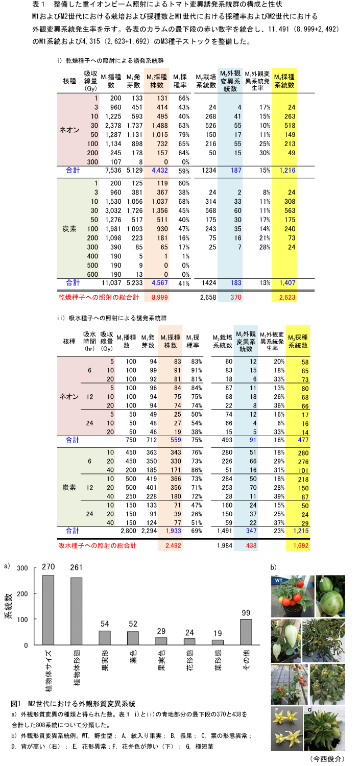 図1,表1