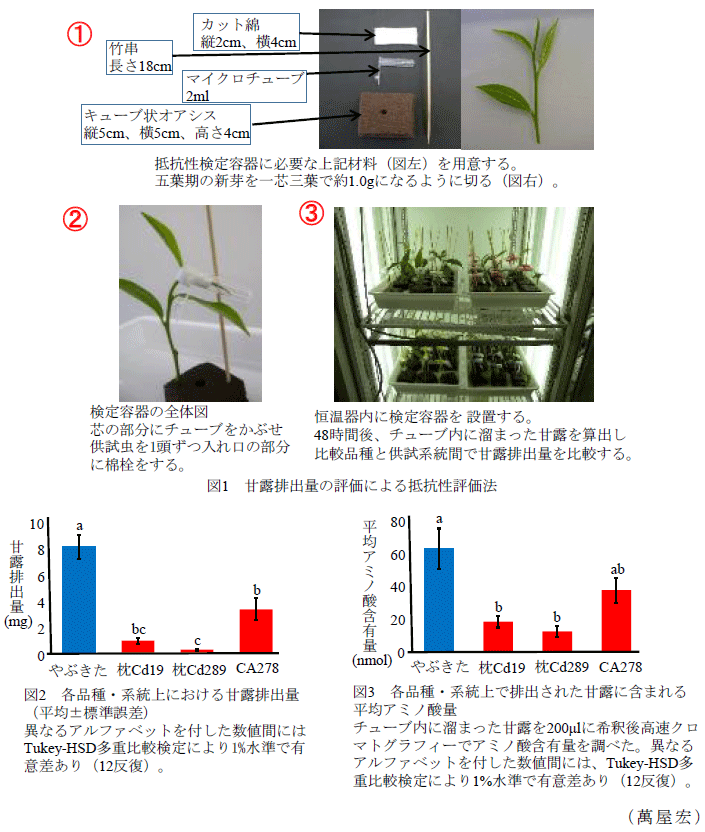 図1～3