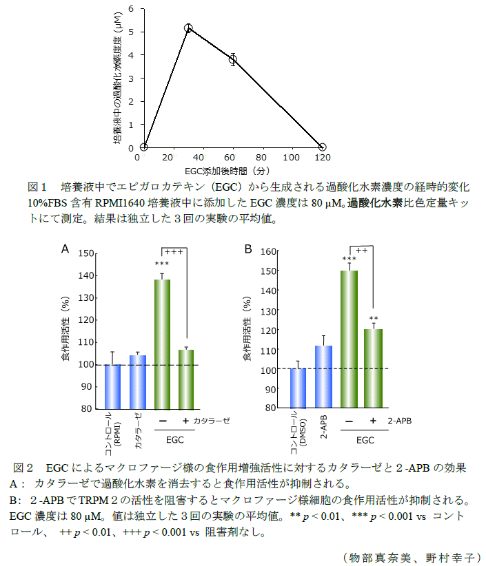 図1～2