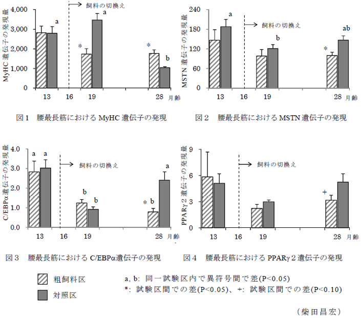 図1～4