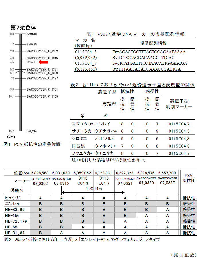 図1～2,表1～2