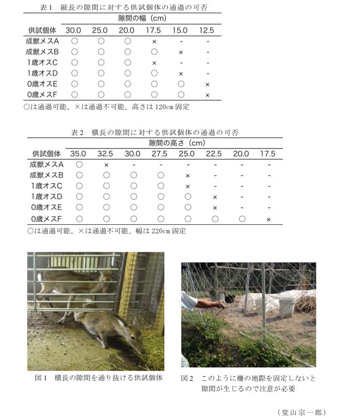 表1 縦長の隙間に対する供試個体の通過の可否?表2 横長の隙間に対する供試個体の通過の可否?図1 横長の隙間を通り抜ける供試個体?図2 このように柵の地際を固定しないと隙間が生じるので注意が必要