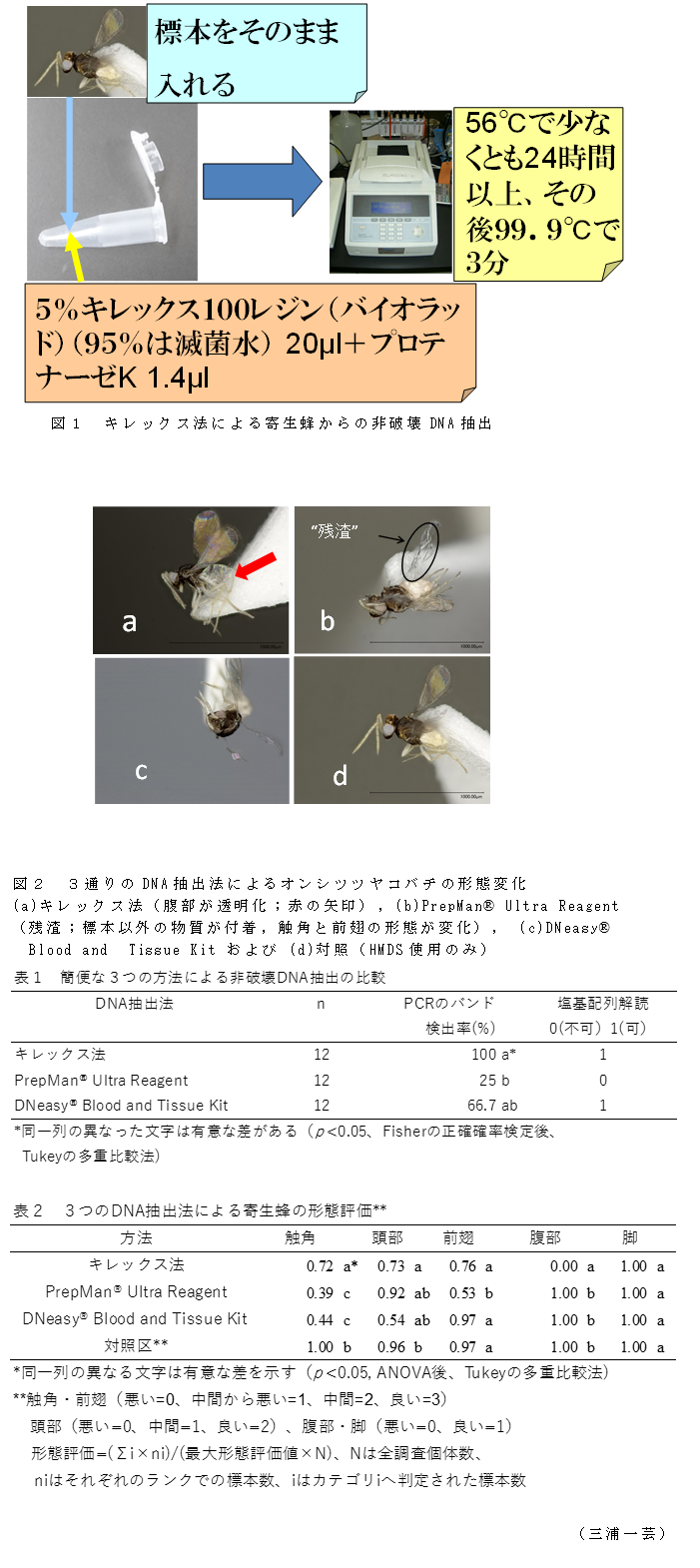 図1 キレックス法による寄生蜂からの非破壊DNA抽出;図2 3通りのDNA抽出法によるオンシツツヤコバチの形態変化;