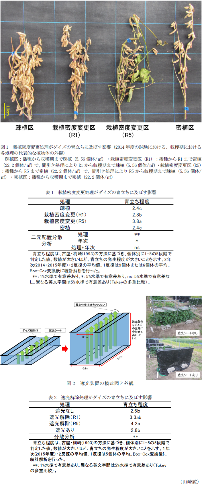 図1 栽植密度変更処理がダイズの青立ちに及ぼす影響(2014年度の試験における、収穫期における各処理の代表的な植物体の外観),表1 栽植密度変更処理がダイズの青立ちに及ぼす影響,図2 遮光装置の模式図と外観,表2 遮光解除処理がダイズの青立ちに及ぼす影響