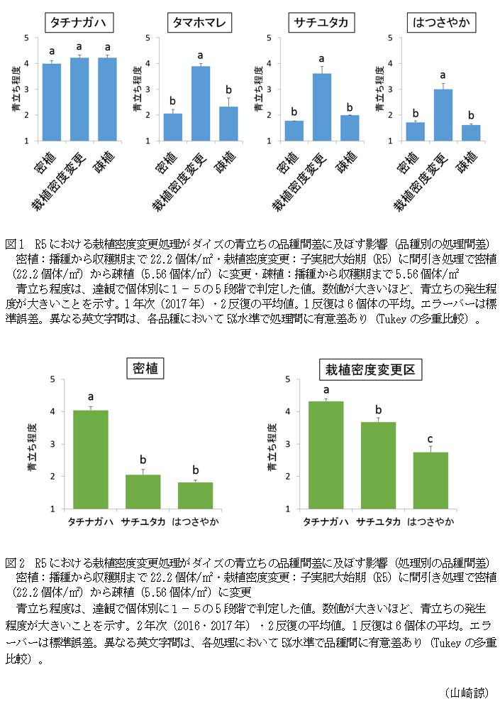 図1 R5における栽植密度変更処理がダイズの青立ちの品種間差に及ぼす影響(品種別の処理間差),図2 R5における栽植密度変更処理がダイズの青立ちの品種間差に及ぼす影響(処理別の品種間差)