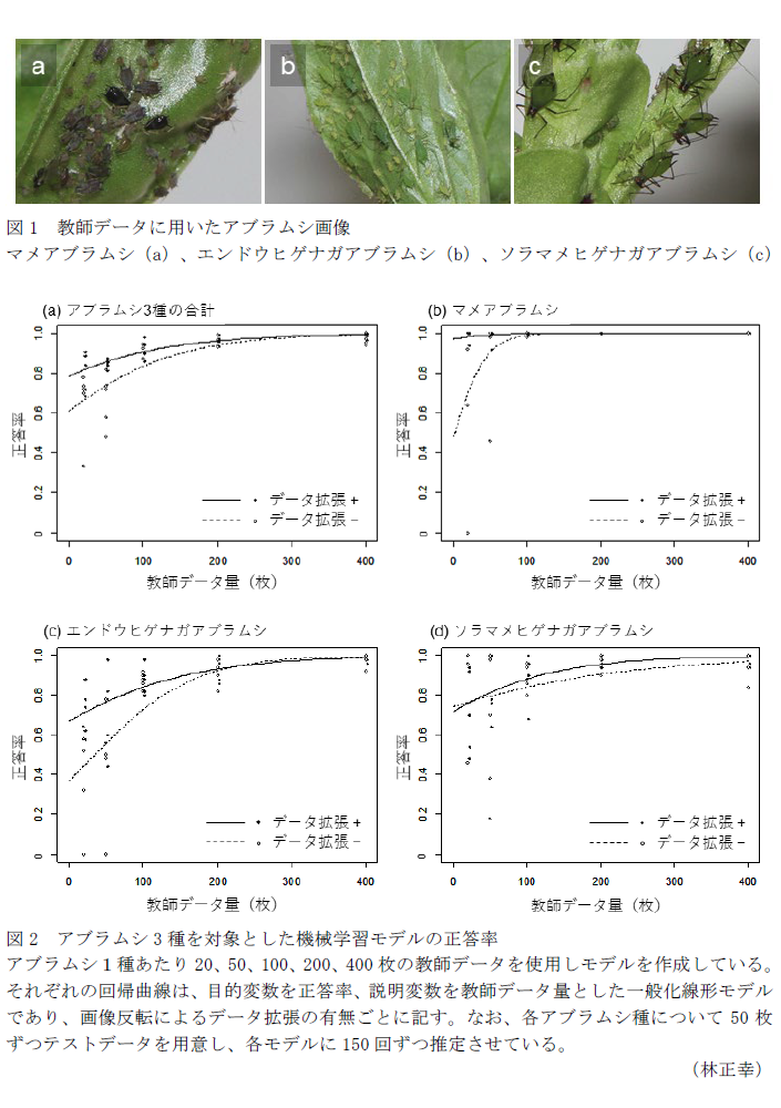 図1 教師データに用いたアブラムシ画像,図2 アブラムシ3種を対象とした機械学習モデルの正答率