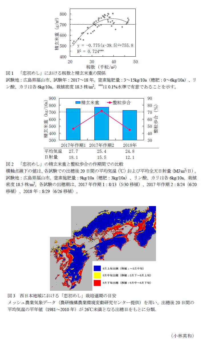 図1 「恋初めし」における籾数と精玄米重の関係,図2 「恋初めし」の精玄米重と整粒歩合の作期間での比較,図3 西日本地域における「恋初めし」栽培適期の目安