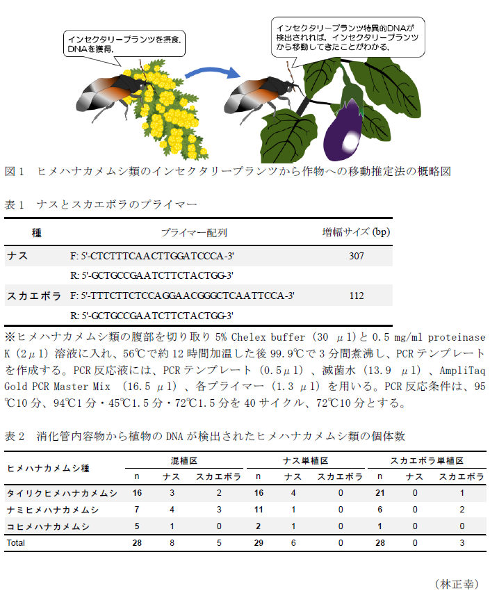 図1 ヒメハナカメムシ類のインセクタリープランツから作物への移動推定法の概略図,表1 ナスとスカエボラのプライマー,表2 消化管内容物から植物のDNAが検出されたヒメハナカメムシ類の個体数