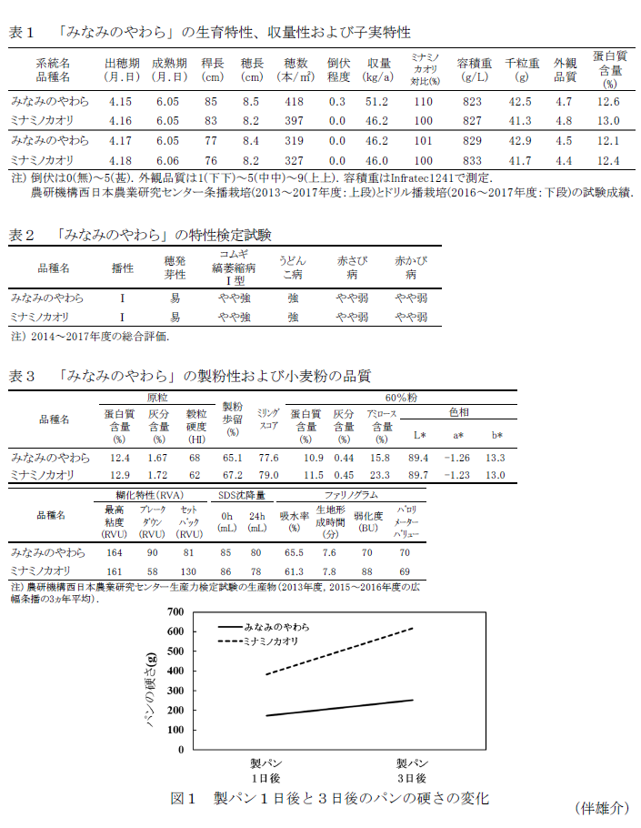 表1 「みなみのやわら」の生育特性、収量性および子実特性,表2 「みなみのやわら」の特性検定試験,表3 「みなみのやわら」の製粉性および小麦粉の品質,図1 製パン1日後と3日後のパンの硬さの変化