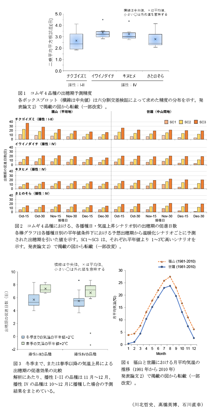 図1 コムギ4品種の出穂期予測精度,図2 コムギ4品種における、各播種日・気温上昇シナリオ別の出穂期の促進日数,図3 冬季まで、または春季以降の気温上昇による出穂期の促進効果の比較,図4 福山と世羅における月平均気温の推移(1981年から2010年)