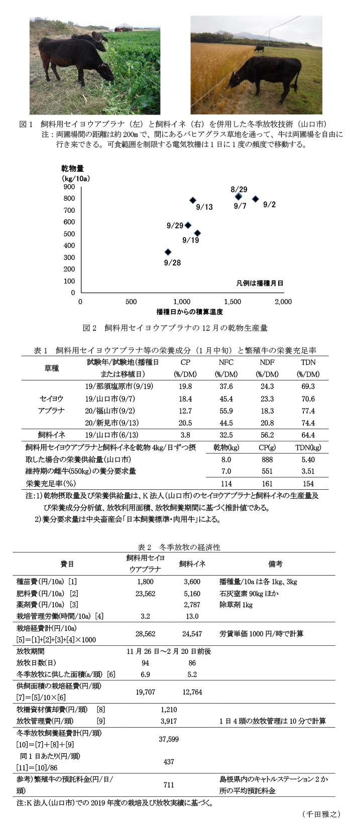 図1 飼料用セイヨウアブラナ(左)と飼料イネ(右)を併用した冬季放牧技術(山口市),図2 飼料用セイヨウアブラナの12月の乾物生産量,表1 飼料用セイヨウアブラナ等の栄養成分(1月中旬)と繁殖牛の栄養充足率,表2 冬季放牧の経済性