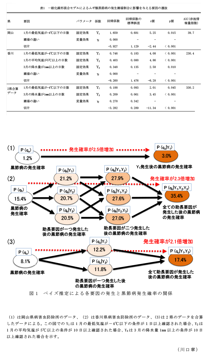 表1 一般化線形混合モデルによるムギ類黒節病の発生圃場割合に影響を与える要因の選抜,図1 ベイズ推定による各要因の発生と黒節病発生確率の関係