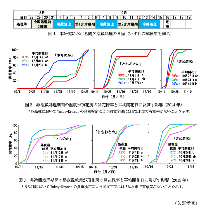 図1 本研究における間欠冷蔵処理の日程(いずれの試験年も同じ),図2 非冷蔵処理期間の温度が頂花房の開花株率と平均開花日に及ぼす影響(2014年),図3 非冷蔵処理期間の昼夜温較差が頂花房の開花株率と平均開花日に及ぼす影響(2015年)