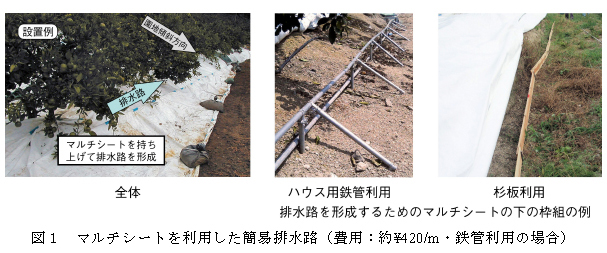 図1 マルチシートを利用した簡易排水路