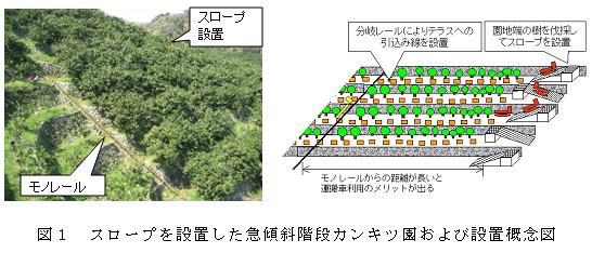 図1 スロープを設置した急傾斜階段カンキツ園および設置概念図