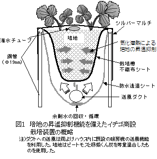図1 培地の昇温抑制機能を備えたイチゴ高設栽培装置の概略