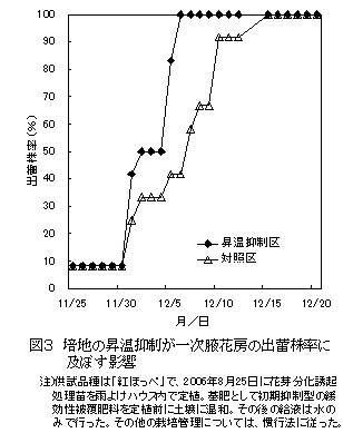 図3 培地の昇温抑制が一次腋花房の出蕾株率に及ぼす影響