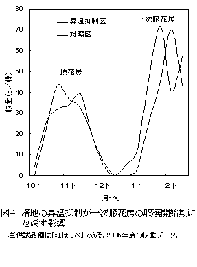 図4 培地の昇温抑制が一次腋花房の収穫開始期に及ぼす影響