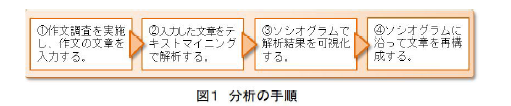 図1 分析の手順