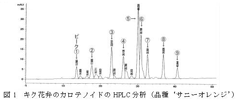 図1 キク花弁のカロテノイドのHPLC分析(品種‘サニーオレンジ’)