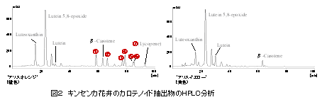 図2 キンセンカ花弁のカロテノイド抽出物のHPLC分析