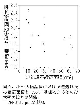 図2.小～大輪品種における無処理花の縁辺面積とCPPU処理によるその拡大率の比との関係