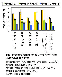 図2 柱頭の受粉面積がトルコギキョウ小花の花持ちに及ぼす影響