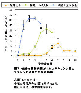 図3 柱頭の受粉面積がトルコギキョウ小花のエチレン生成量に及ぼす影響